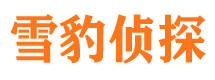 大化外遇出轨调查取证